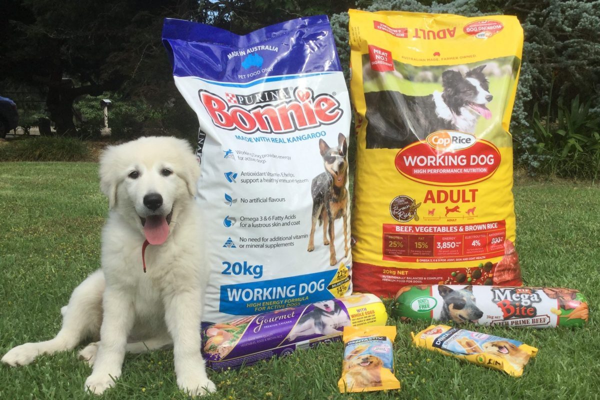 Dog Food Scarlet